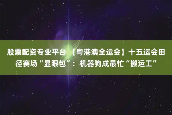 股票配资专业平台 【粤港澳全运会】十五运会田径赛场“显眼包”：机器狗成最忙“搬运工”